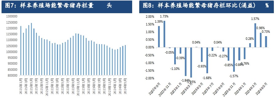 二育积极性或难维系 生猪或震荡调整为主