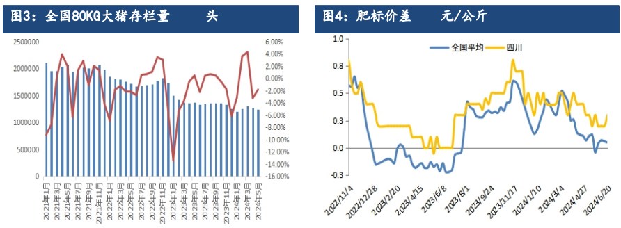 二育积极性或难维系 生猪或震荡调整为主