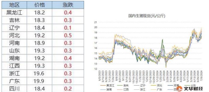 生猪终端消费支撑乏力 市场承接支撑不足