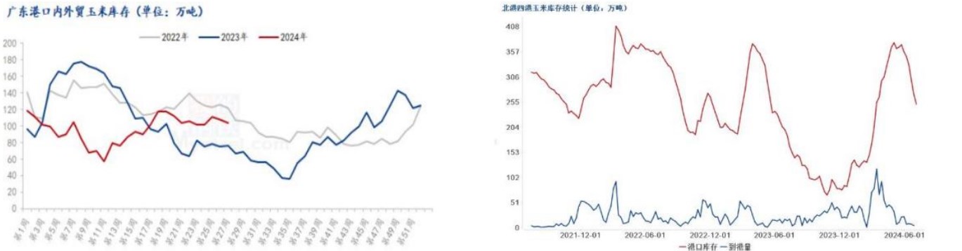 玉米刚需受到阶段性冲击 价格短期或偏弱运行