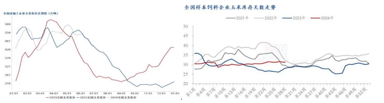 玉米刚需受到阶段性冲击 价格短期或偏弱运行