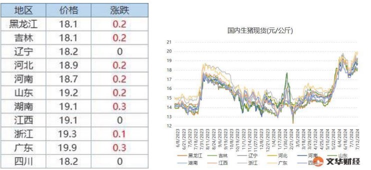 生猪供应呈现阶段性偏紧状态 价格底部支撑较强