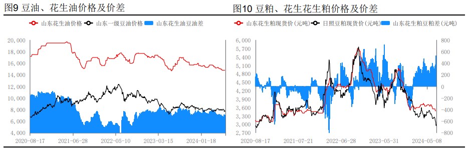 花生投机信心匮乏 现货反弹空间有限