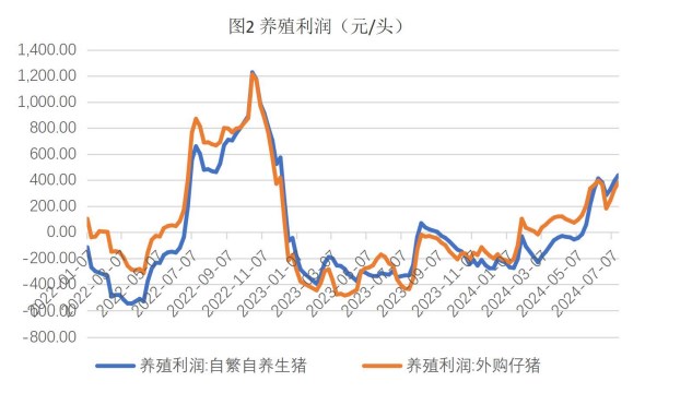 生猪供应端利好支撑明显 玉米悲观情绪有所修复