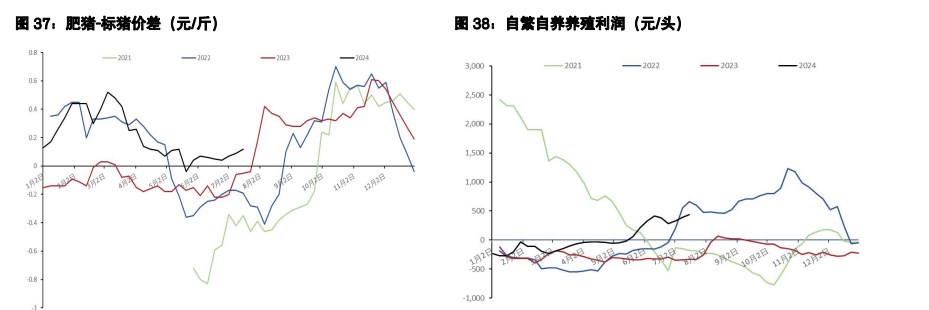 鸡蛋现货探明阶段性高点 生猪弱宏观环境下需求悲观