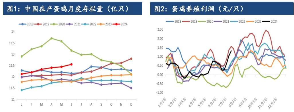 市场存在一定畏高情绪 鸡蛋短期或有调整的需求