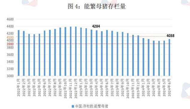 养殖户出栏积极性提高 生猪供应短期小幅增加