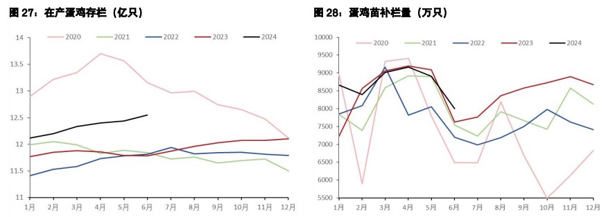 鸡蛋现货探明阶段性高点 生猪弱宏观环境下需求悲观