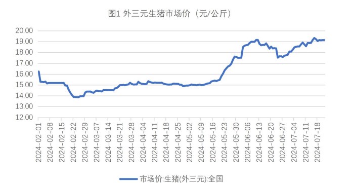 生猪供应端利好支撑明显 玉米悲观情绪有所修复