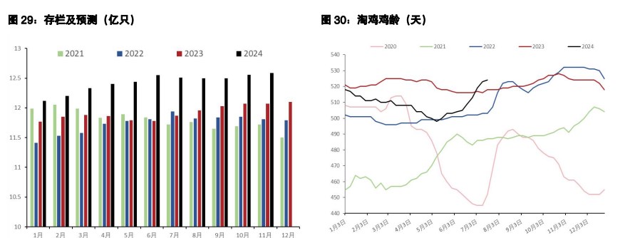 鸡蛋现货探明阶段性高点 生猪弱宏观环境下需求悲观