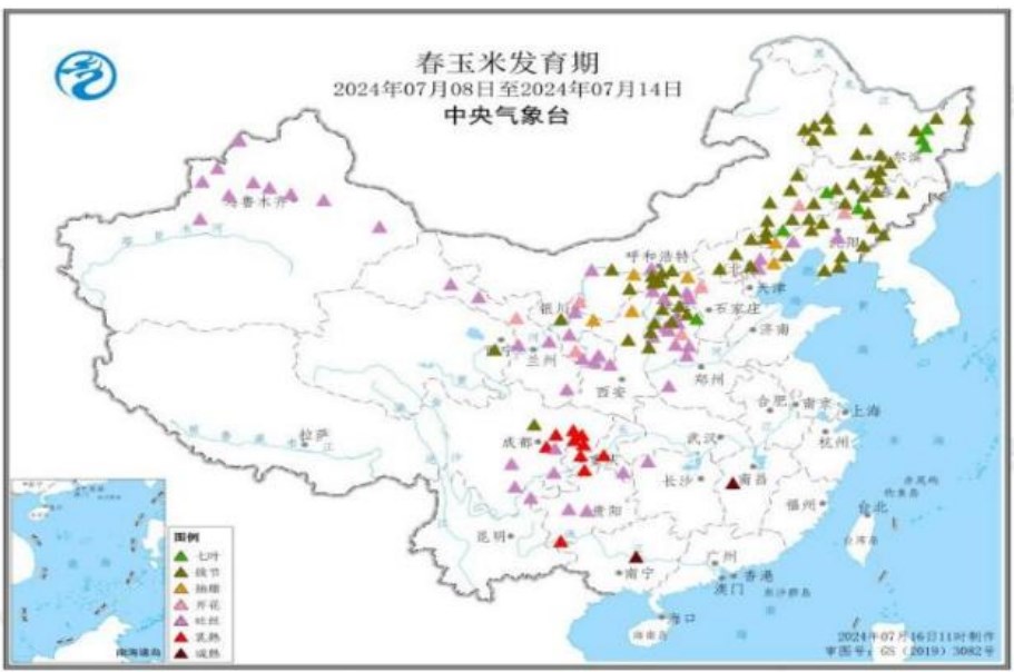 新季小麦综合性价比高 玉米价格或承压运行