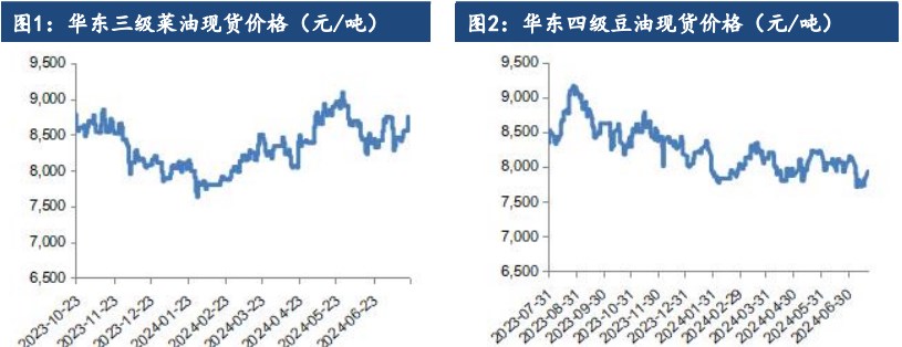 油脂基本面多空交织 价格缺乏明显驱动