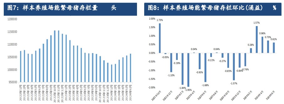 生猪远月合约仍存较强预期 跟随现货偏强为主