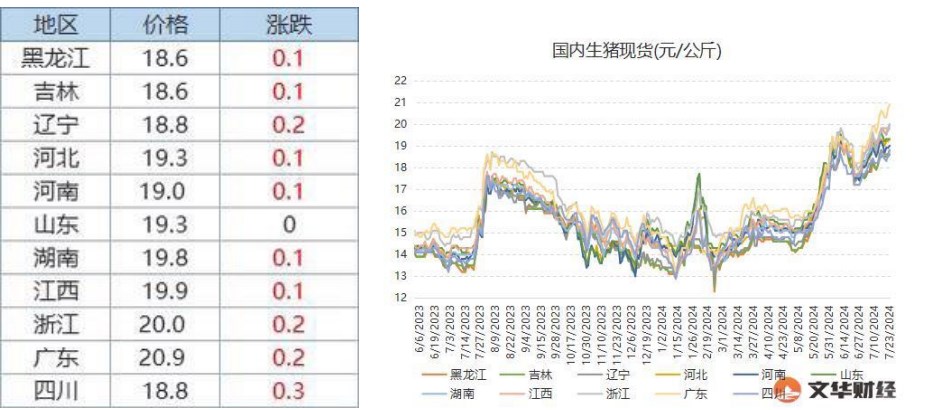 高温天气需求持续清淡 生猪终端消费支撑乏力