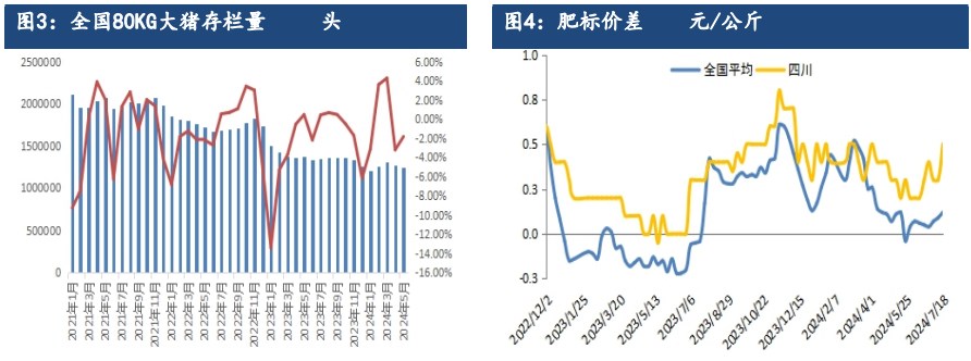 生猪远月合约仍存较强预期 跟随现货偏强为主