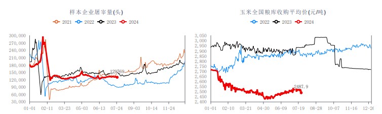 市场看涨情绪转强 生猪价格易涨难跌