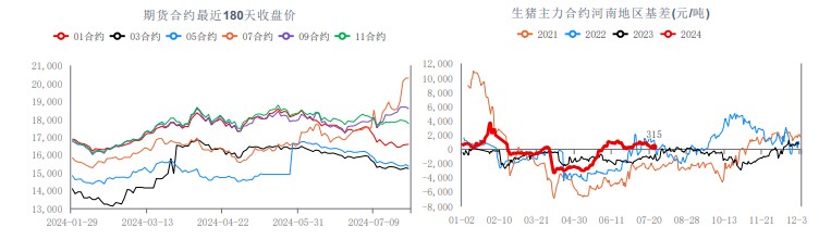 市场看涨情绪转强 生猪价格易涨难跌