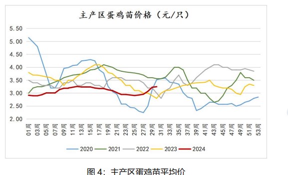 市场悲观情绪渐起 鸡蛋价格或将以偏弱调整为主