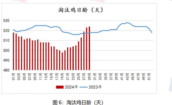 市场悲观情绪渐起 鸡蛋价格或将以偏弱调整为主