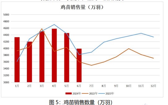 市场悲观情绪渐起 鸡蛋价格或将以偏弱调整为主