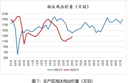 市场悲观情绪渐起 鸡蛋价格或将以偏弱调整为主