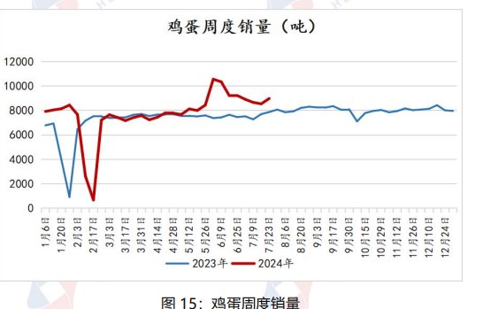 市场悲观情绪渐起 鸡蛋价格或将以偏弱调整为主