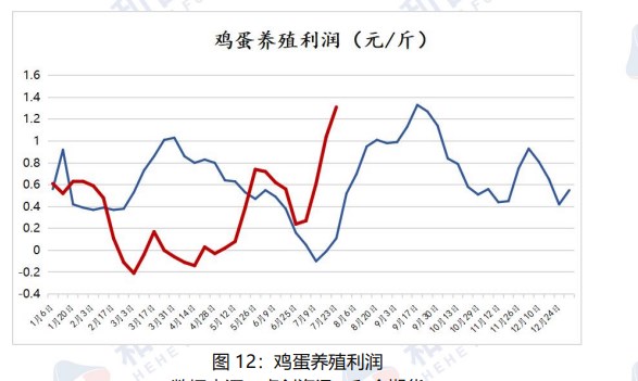 市场悲观情绪渐起 鸡蛋价格或将以偏弱调整为主