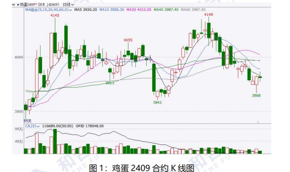 市场悲观情绪渐起 鸡蛋价格或将以偏弱调整为主