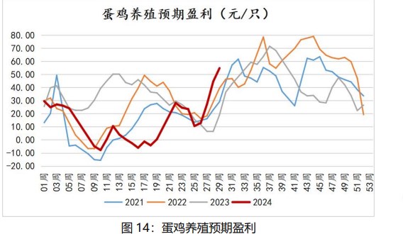 市场悲观情绪渐起 鸡蛋价格或将以偏弱调整为主