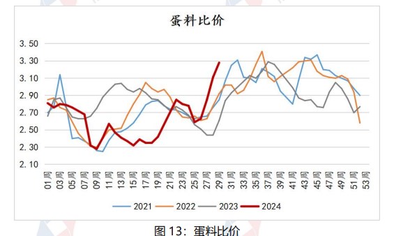 市场悲观情绪渐起 鸡蛋价格或将以偏弱调整为主