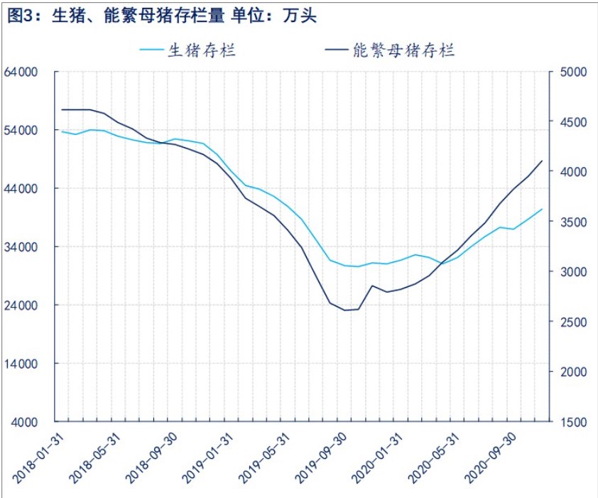 生猪淡季需求跟进有限 供增双减价格上涨压力较大