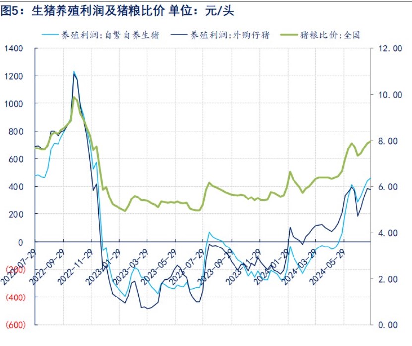 生猪淡季需求跟进有限 供增双减价格上涨压力较大