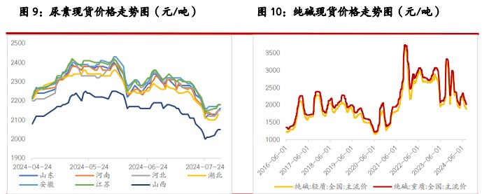 尿素供需两端均有支撑 纯碱供需矛盾较为突出