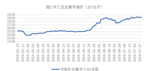 生猪市场挺价情绪再起 玉米收购价偏弱运行