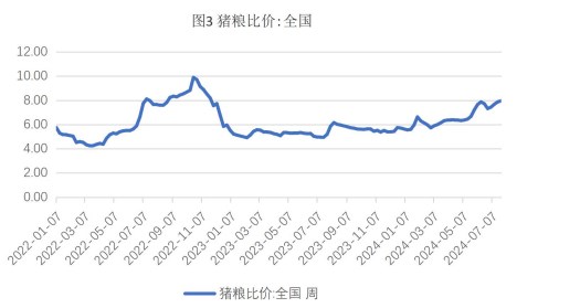 生猪市场挺价情绪再起 玉米收购价偏弱运行