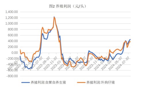 生猪市场挺价情绪再起 玉米收购价偏弱运行