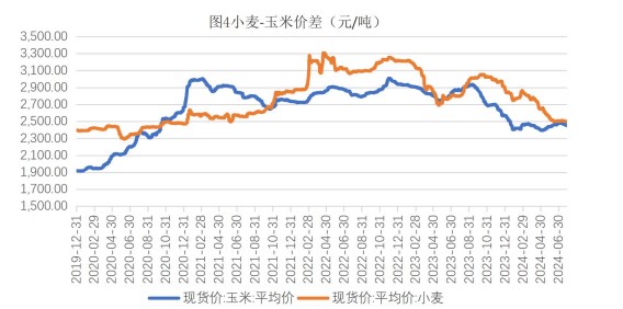 生猪市场挺价情绪再起 玉米收购价偏弱运行