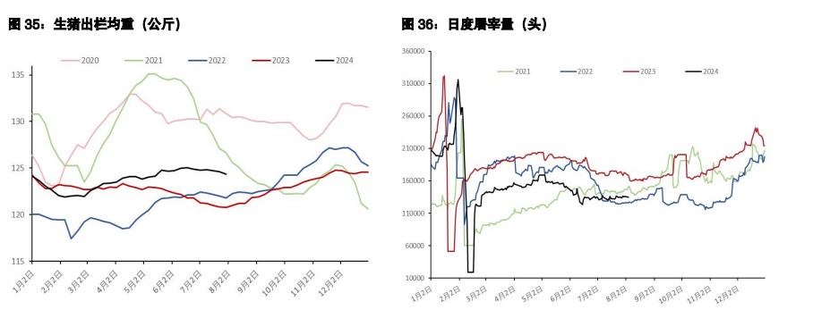 鸡蛋周边商品反弹触发空头回补 生猪升水有被修复需要