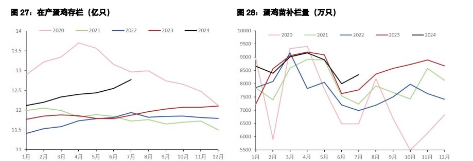 鸡蛋周边商品反弹触发空头回补 生猪升水有被修复需要