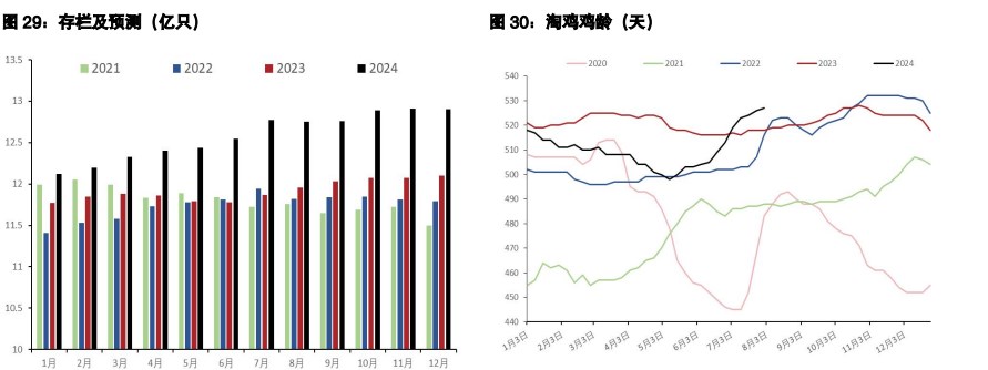 鸡蛋周边商品反弹触发空头回补 生猪升水有被修复需要