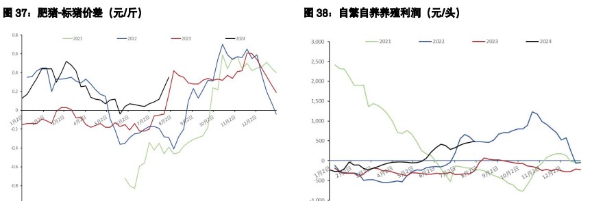 鸡蛋周边商品反弹触发空头回补 生猪升水有被修复需要