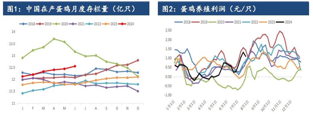 鸡蛋现货强弱切换迅速 期价维持震荡运行