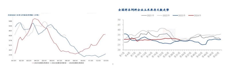 养殖需求仍偏弱 玉米饲用需求维持低位