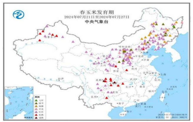 养殖需求仍偏弱 玉米饲用需求维持低位