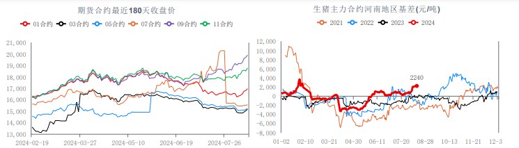 生猪消费端或逐渐好转 价格或呈高位震荡态势