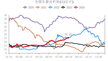 生猪消费端或逐渐好转 价格或呈高位震荡态势