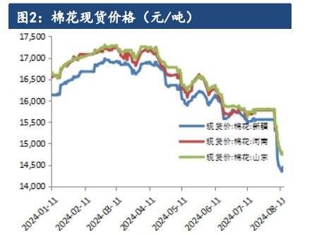 棉花基本面维持弱势 价格震荡偏弱运行