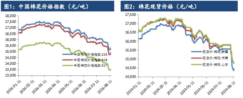 棉花基本面维持弱势 价格震荡偏弱运行