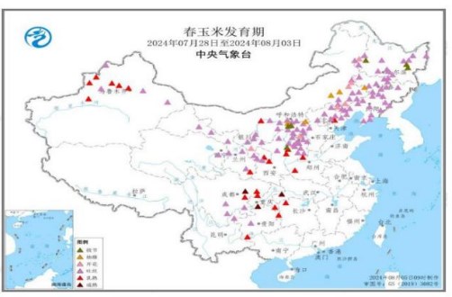 用粮企业消化现有库存 玉米走货速度放缓