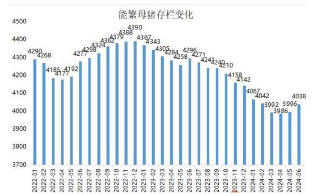 出栏积极性不高 生猪利多支撑依旧明显